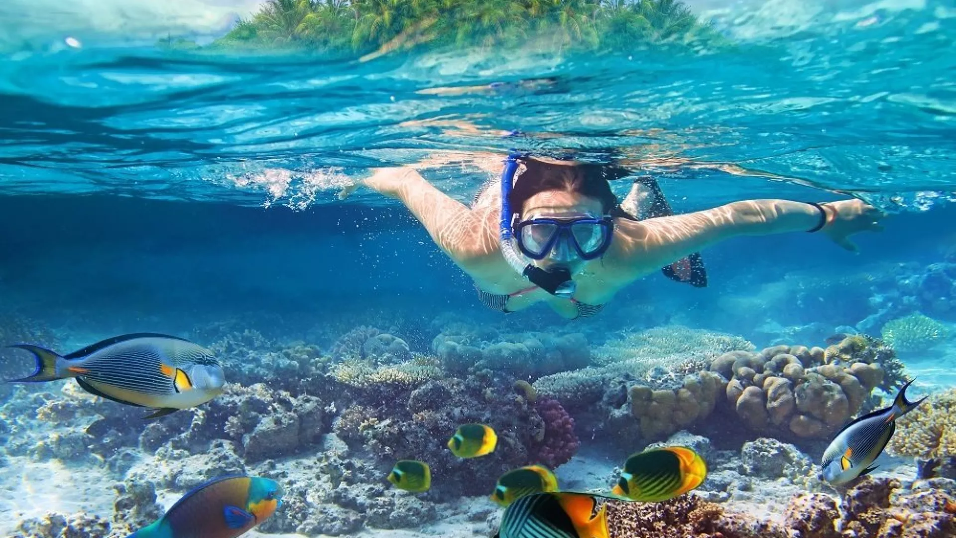 Diventa una Guida Snorkeling PADI: Un Lavoro Appagante e Ricercato