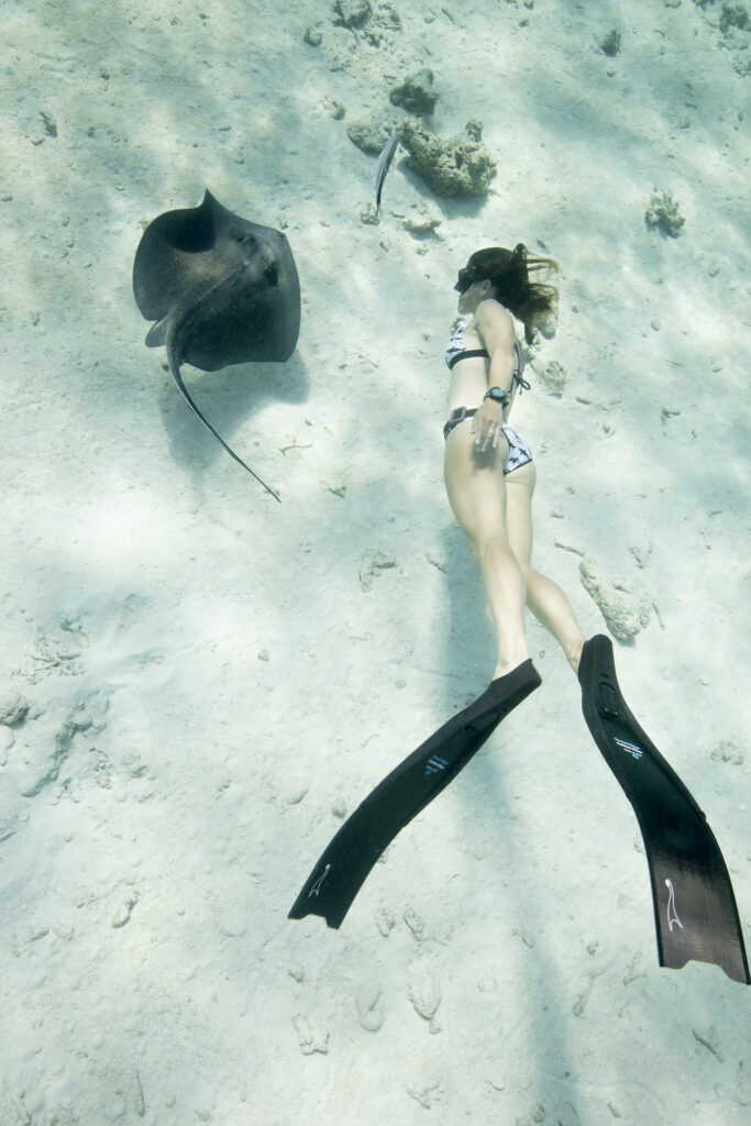 Corsi Apnea Milano Bocconi con certificazione Freediver Padi. Scubacademy è il punto di riferimento per i corsi subacquei PADI a Milano. Offriamo formazione certificata, immersioni sicure e team building subacqueo esclusivo al Bocconi Sport Center. Corsi Ara e Apnea con certificazione Freediver Padi Affiliata CONI