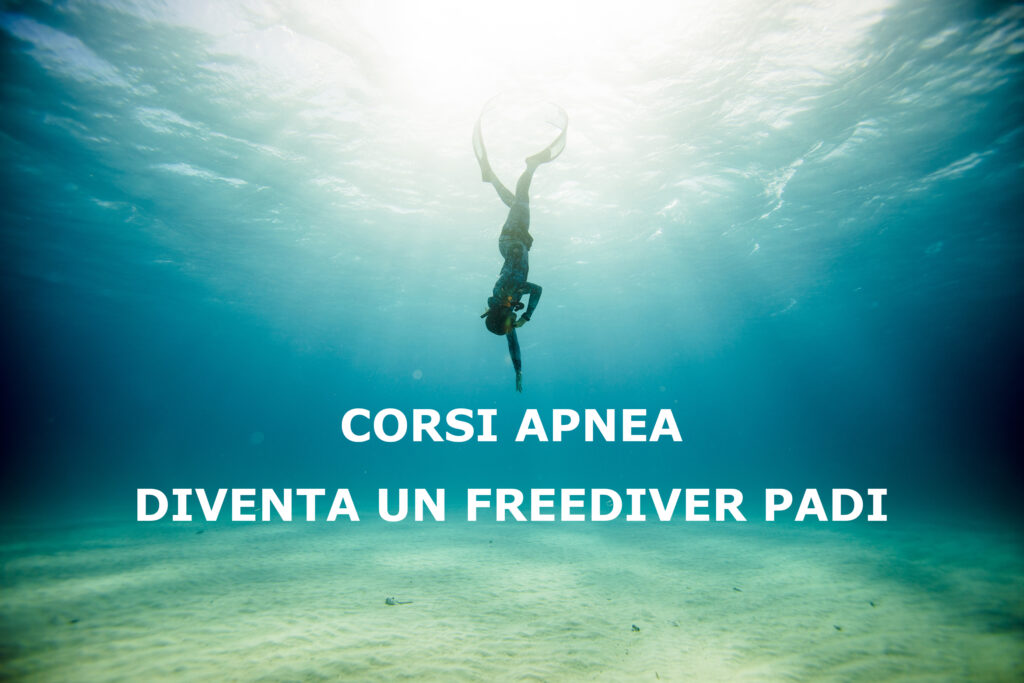 Corsi Apnea Milano Bocconi con certificazione Freediver Padi. Scubacademy è il punto di riferimento per i corsi subacquei PADI a Milano. Offriamo formazione certificata, immersioni sicure e team building subacqueo esclusivo al Bocconi Sport Center. Corsi Ara e Apnea con certificazione Freediver Padi Affiliata CONI
