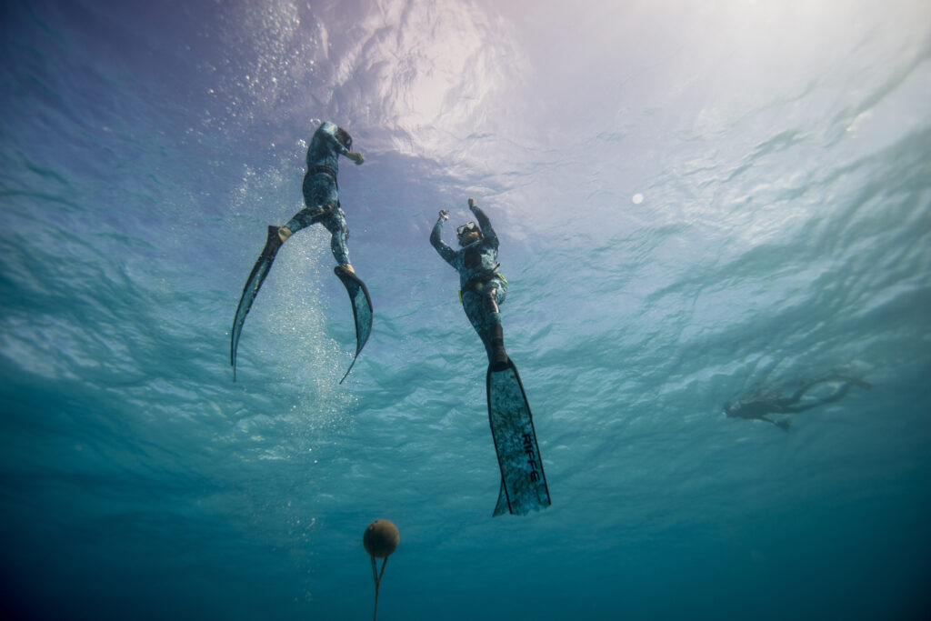 Corsi Apnea Milano Bocconi con certificazione Freediver Padi. Scubacademy è il punto di riferimento per i corsi subacquei PADI a Milano. Offriamo formazione certificata, immersioni sicure e team building subacqueo esclusivo al Bocconi Sport Center. Corsi Ara e Apnea con certificazione Freediver Padi Affiliata CONI
